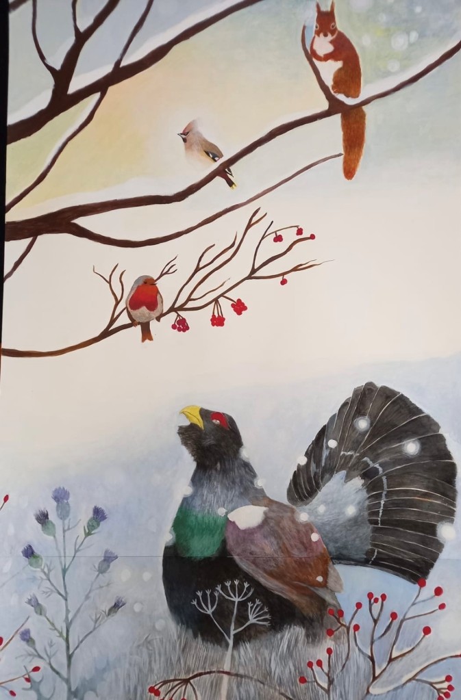 A painted wintry woodland scene with a red squirrel, robin and capercaillie. 